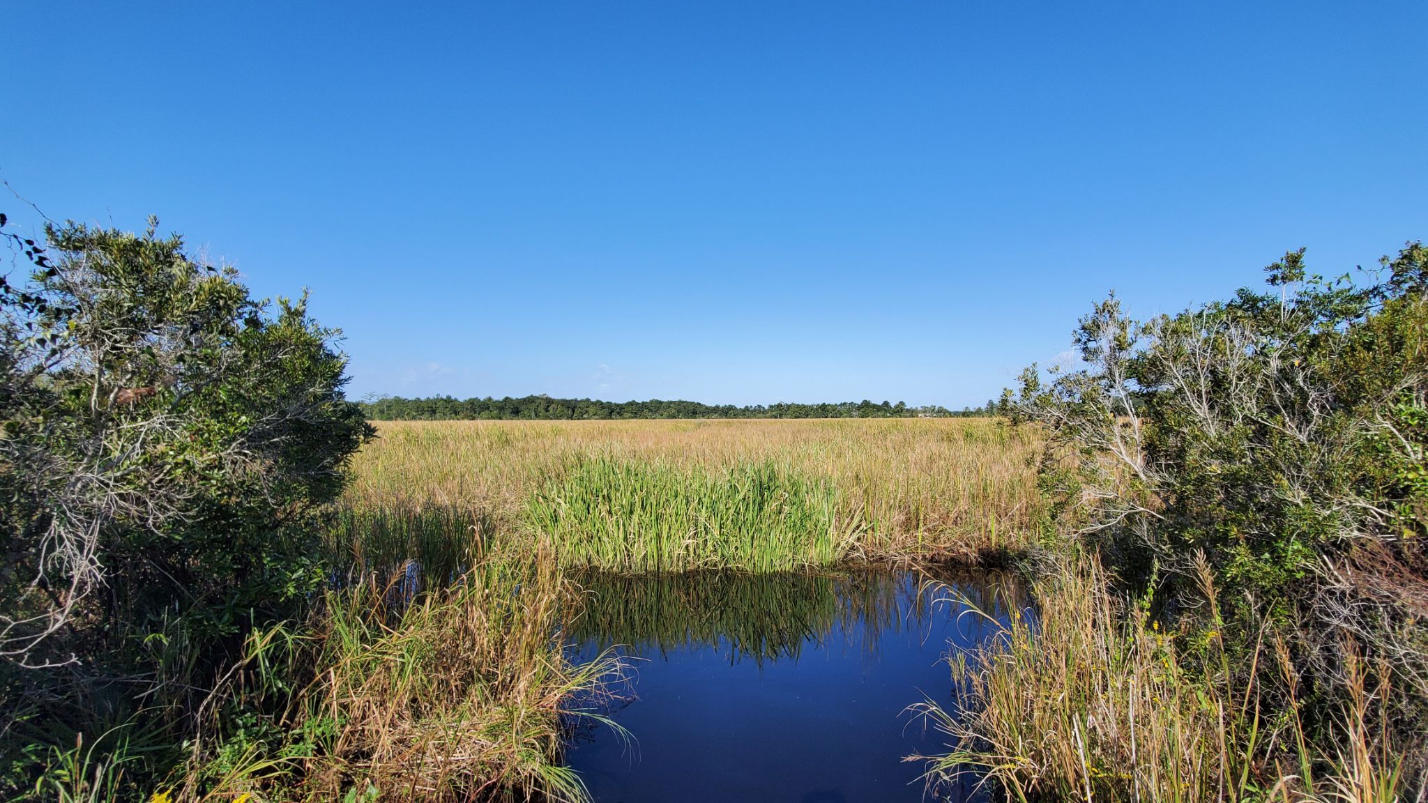 2020 October BlufftonSC