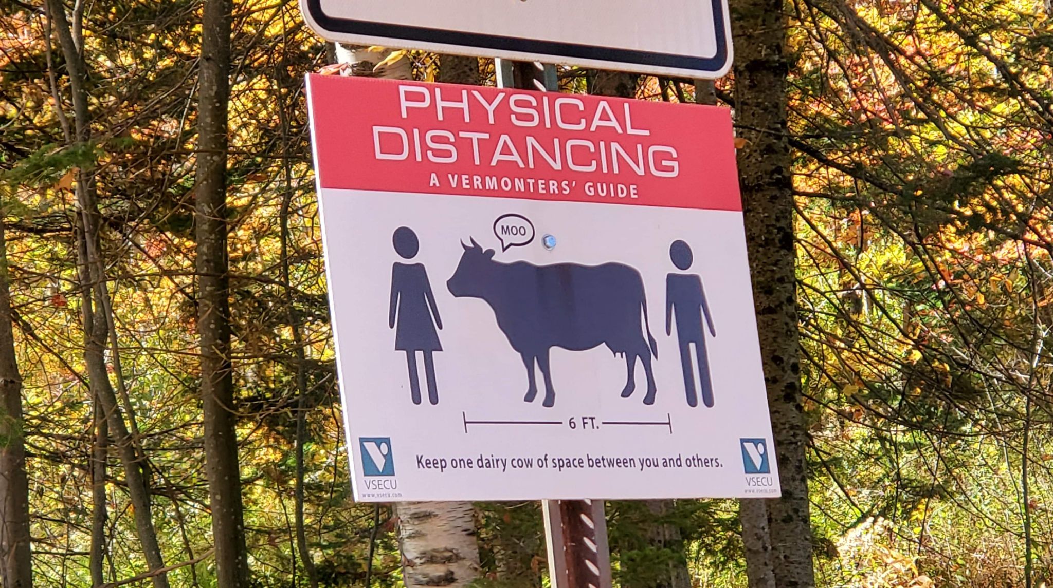 Received 798149744278991