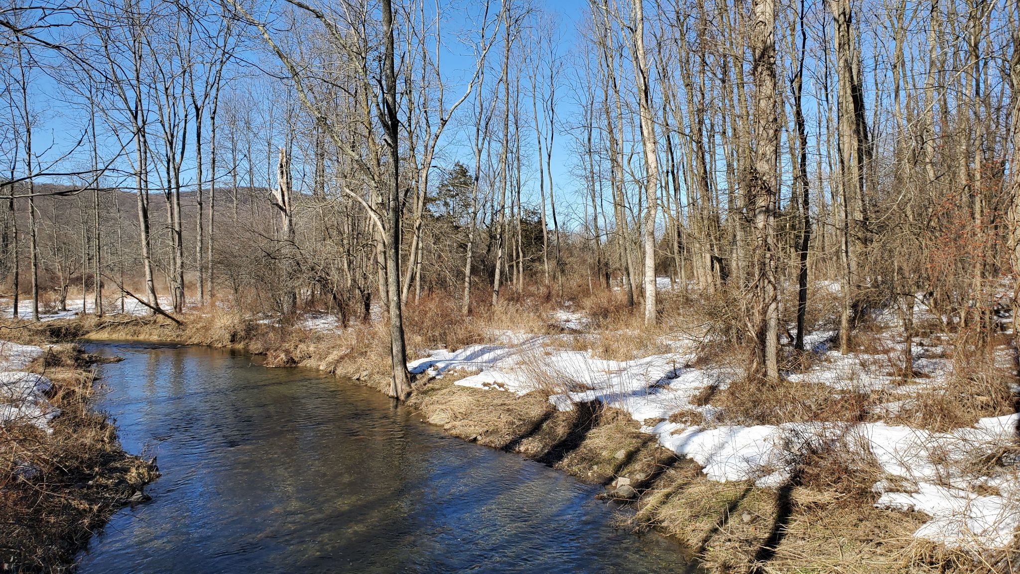 2021 March WarwickNY